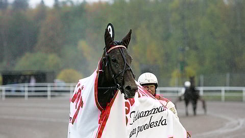 Lauri Turunen ajoi Ava Adoren voittoon Vermossa lokakuussa 2006. 