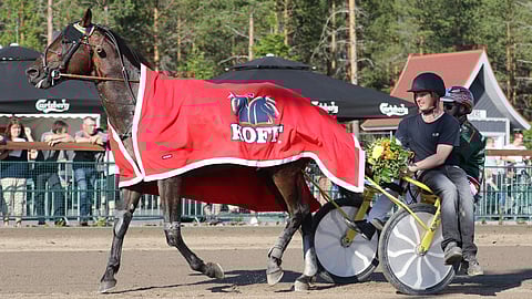 Jani Ahopellon valmentama Gold Narva on viidennen kohteen ideavarma.