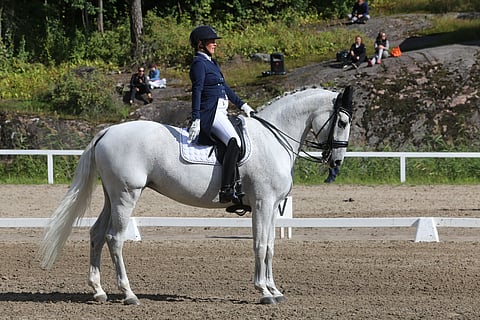 Juha Linnan Salon Perttelissä kasvattama ja miniä Jenni Linnan kouluradoilla kilpailuttama Catfight L lähtee pian junioripojan joululahjaksi Equadoriin. 