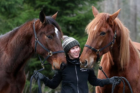 Suvi Himanka esitteli Governor Hossia (vas.) yhdessä Star Town Kempin kanssa Hevosurheilun 3-vuotiskatsauksessa.