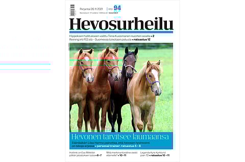 "Lajityypillisen käyttäytymisen mahdollistaminen on eläimen kuin eläimen hyvinvoinnissa ykkösasia", Hevosurheilun personal trainer Liisa Harmo sanoo.