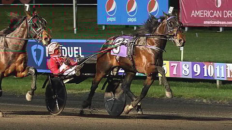 Fast As The Wind voitti oriiden ja ruunien Kindergrten-finaalin Meadowlandsissa.