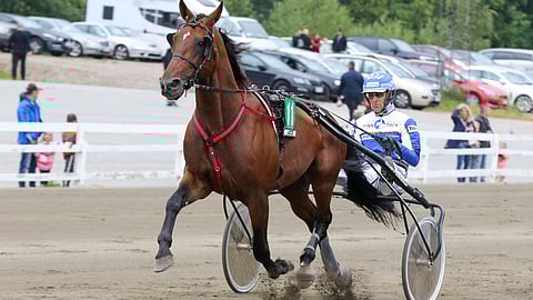 Knows Everything sai kasiradan, mutta lähtee sieltäkin kovaa liikkeelle.