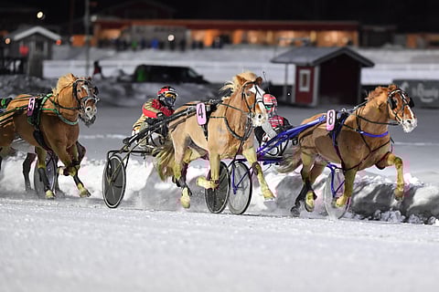 Sitkeydellään ihastuttava Mikko ja Helena Väisäsen omistama Hissun Turbo (4) kilpaili tänä vuonna peräti 39 kertaa. Voittoja Vieremän ruuna napsi 13 kappaletta ja tienestejä 59 920 euroa. Sunnuntaina se oli paras johtaneen Valtroksin rinnalta.