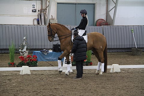 Elina Korhosen Don Monroy haluttiin opettaa nostamaan etujalkaa.