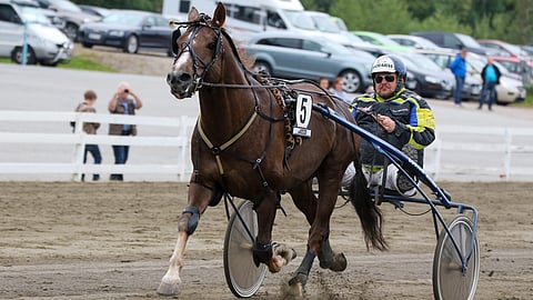 Tero Mäenpää tallin Hymynvirne lähestyy huippukuntoa.