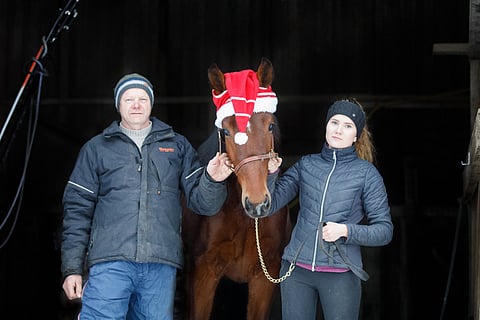 Terho ja Jenni Rautiainen puhuvat keskenään yleensä hevosista.