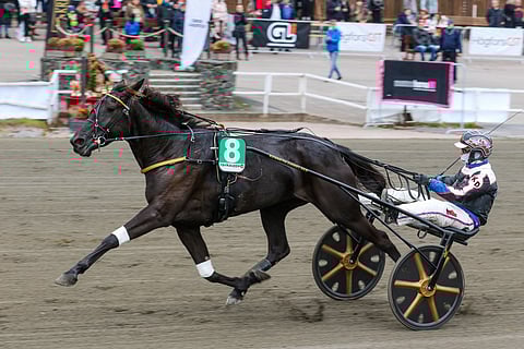 Kenneth Danielsenin Dusktodawn Boogie kilpailee torstaina Pariisissa.