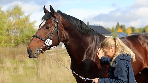 Carlos ja Hanna Nikander.