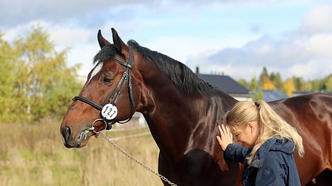 Carlos ja Hanna Nikander.