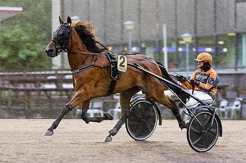 Quite A Lover selvisi karsintakakkosena derbyn finaaliin, mutta siinä tuli harmittava laukka ja hylkäys.