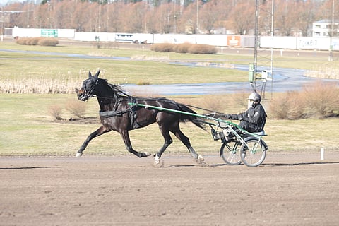 Janina Lehtonen, 29, on edennyt hevosenhoitajasta ammattivalmentajaksi ja on valmis ottamaan taas uuden askeleen urallaan.
