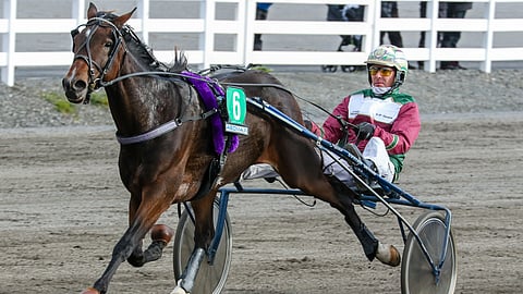 Otto Erich säväytti lokakuussa Mikkelissä voittamalla täyden matkan ryhmän aikaan 13,9a. Veli-Pekka Toivanen ohjasti.