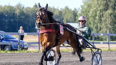 Don Viking on vieraillut kahdesti Ylivieskan Ruunakunkkareissa.