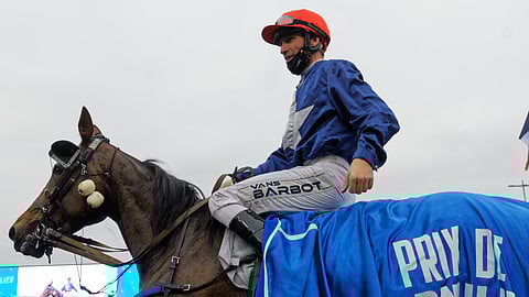 Flamme du Goutier on kaksinkertainen Prix de Cornulierin voittaja. 