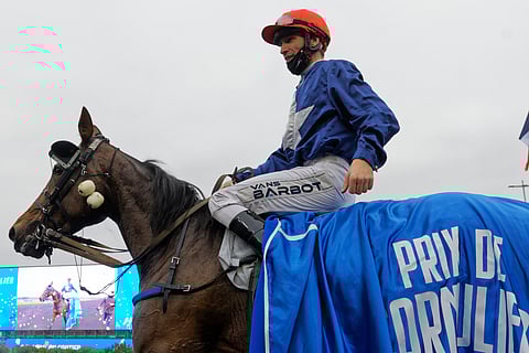 Flamme du Goutierin osakkeet ovat nousussa Prix de Cornulier-suorituksen jälkeen. 