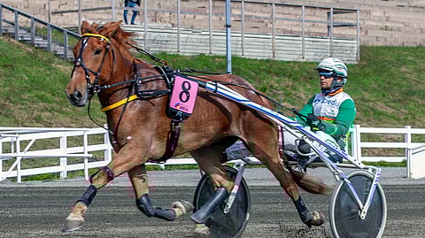 Riksun Tähti kilpailee ensi keskiviikkona Vermon Toto65-raveissa. 