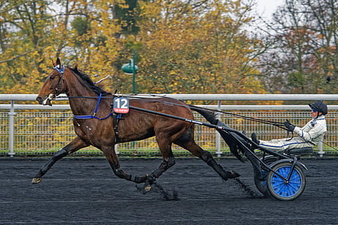 Etonnantin mahdollisuudet ovat parantuneet entisestään. 