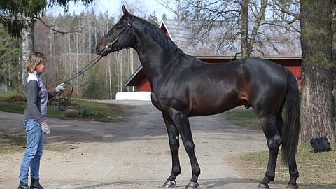 Quillan KS ja Eeva-Liisa Penttilä. 