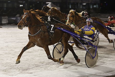 Terho Rautiainen ajoi karsinnoissa kaksi valmennettavaansa voittoihin. Tässä Rautiainen voittaa Lumettajan kanssa.