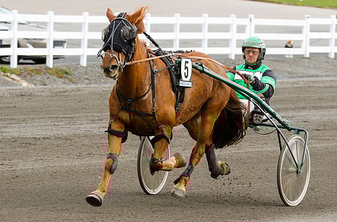 Markus Dahlström ja Tiitukka hakevat paikkaa kylmäveritammojen Talvicup-finaalissa. Karsintojen viisi parasta ja nopein kuudenneksi sijoittunut pääsevät tavoittelemaan 10 000 euron arvoista voittoa.