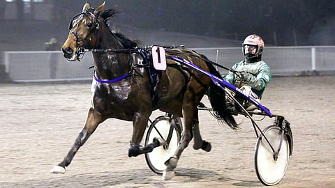 EL Indeed on lauantain varma.