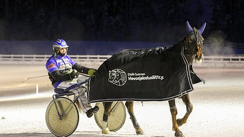 Henri Bollströmin ohjastama Hurman Viesker jyräsi laukasta huolimatta kärkeen Lahden Kavioliiga-raveissa tammikuussa. Lauantaina kyydissä istuu Olli Koivunen.