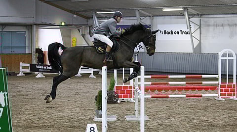 Aki Hannula on teki comebackin esteradoille Ypäjällä. Ratsuna miehellä on oldenburgruuna  AH Challenger.