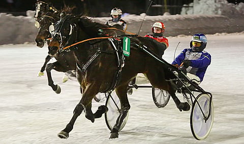 Sisäradan Let's Take A Selfie piti Club Nord Elitin ja Selene Lunen varmasti kurissa.
