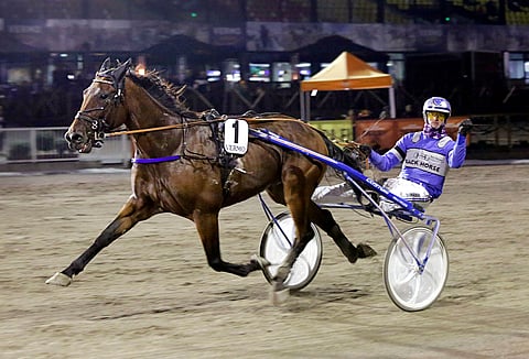 Mats Havulehto tuuletti Zumu de la Vegan Salamakypärät-lähdön voittoa syyskuussa.
