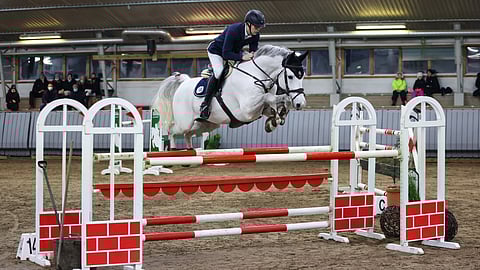 Jos omistaa vain yhden hevosen, ei ole yhtään huono, että se on laadultaan kuin Tomi Jalkasen Clarimo.