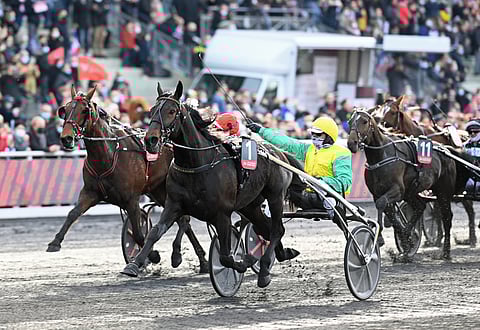 Vivid Wise As voittaa Prix de Francen, Matthieu Abrivard tuulettaa.