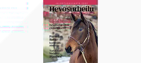 Jalostuskuvaston kannessa on ensimmäistä varsaansa odottava Mascate Match.