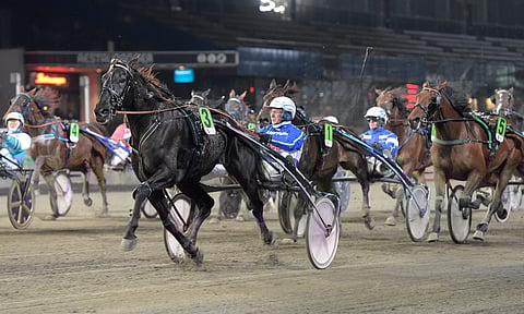 Galileo Journey aloitti uransa kuudella voitolla kahdeksasta ensimmäisestä startista.