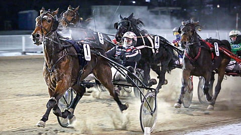 Morris Match on Vermon T65-pelin avainhevosia.