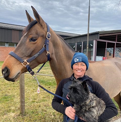 Heidi Mulari muuttaa Sveitsistä Suomeen koiransa ja hevosensa kanssa. 