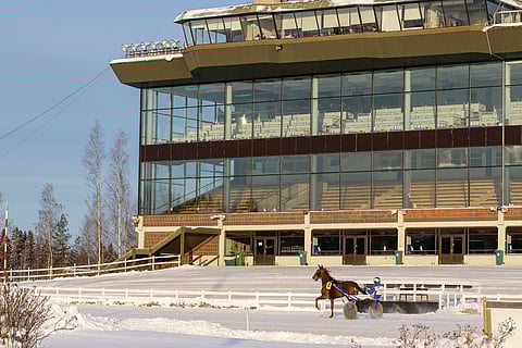 Lahden Jokimaalla ravattiin perjantaina kahdeksan lähdön pikkujouluravit.