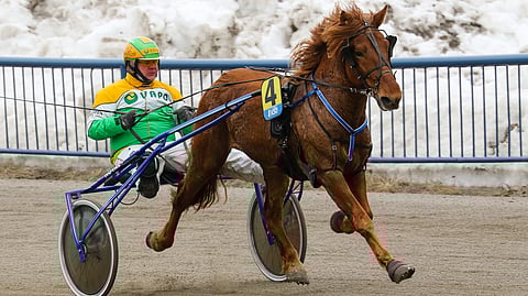 6-vuotias Eivari aloitti kautensa hyvllä kakkosella ja nousee nyt systeemin ideavarmaksi.