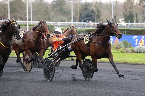 Martin de Bos valloitti Vincennesin joulukuussa 2020.