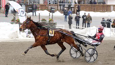 Ilos Silmarillion kiri arvokkaaseen 12000 euron arvoiseen voittoon reilu vuosi sitten Tampereella.