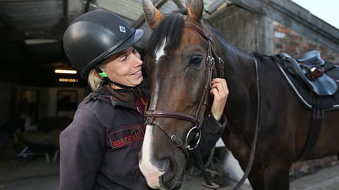 Ferron selkään nousemista ei suositella enää ikinä.