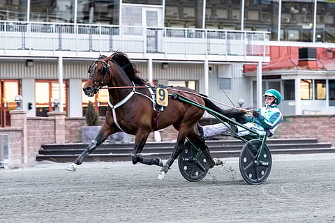 Pasi Aikion Who's Who voitti Åbyssä.