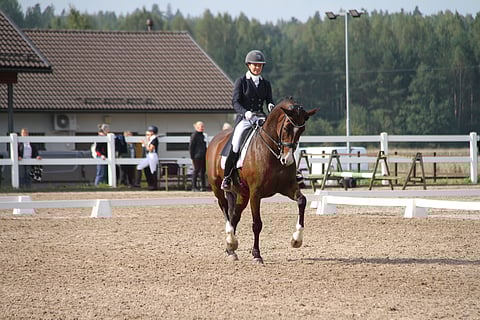 Anu Sironen ja San Quelle ottivat SM-kilpailuissa viime kesänä hopeaa. 