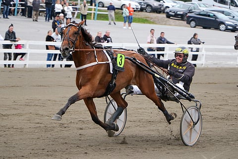 Poetry In Motion kilpaili urallaan 66 kertaa totosijoin 16-6-8. Voittosummaksi jäi 62 038 euroa ja ennätykseksi 12,9.