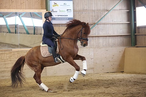 Tästä on puhuttu, tätä on epäilty,  tälle on kuulemma jopa naurettu, mutta nyt se on tapahtumassa: suomenhevonen starttaa tänä vuonna GP-rataharjoituksissa, ja jos hyvin menee, myös GP-luokassa.  Katja Kuokka ja Hessin Leevi asialla. 