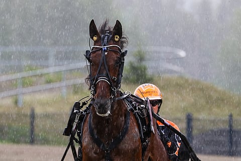 J.H.Mannerheim kilpaili viime vuonna Killerin Eliitissä Tommi Kylliäisen ohjastamana. 