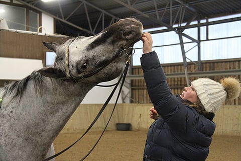 Laura Koskenmäki ja ruuna Blaze.