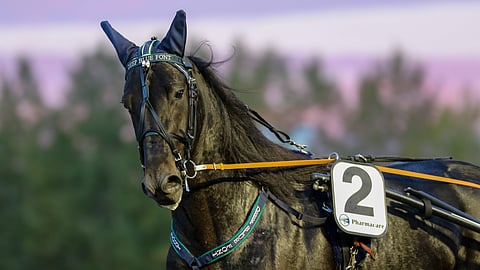 Lahjakas Deep Blue Font on kilpaillut urallaan 40 kertaa, mutta ehtinyt tienaamaan jo yli 92 000 euroa.