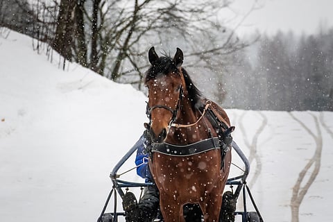 Pekka Korven odotukset Cupido Combosta ovat korkealla.