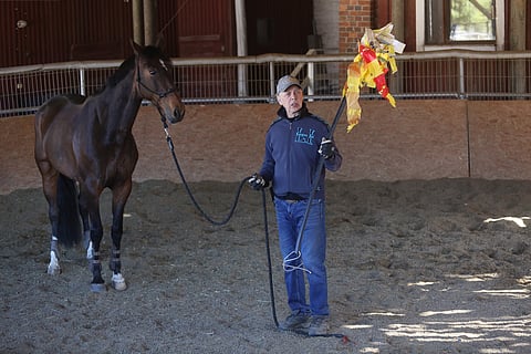 Hevoskoulutukset meneillään syövästä huolimatta.